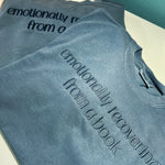Comfort Colors Blue Emotionally Recovering From A Book