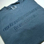Comfort Colors Blue Emotionally Recovering From A Book